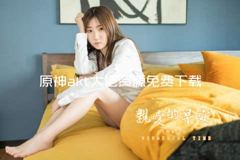 原神akt大佬资源免费下载